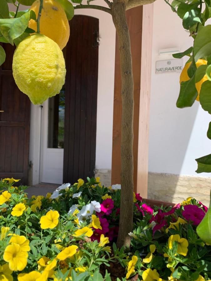 Naturaverde Country House Senigallia Kültér fotó
