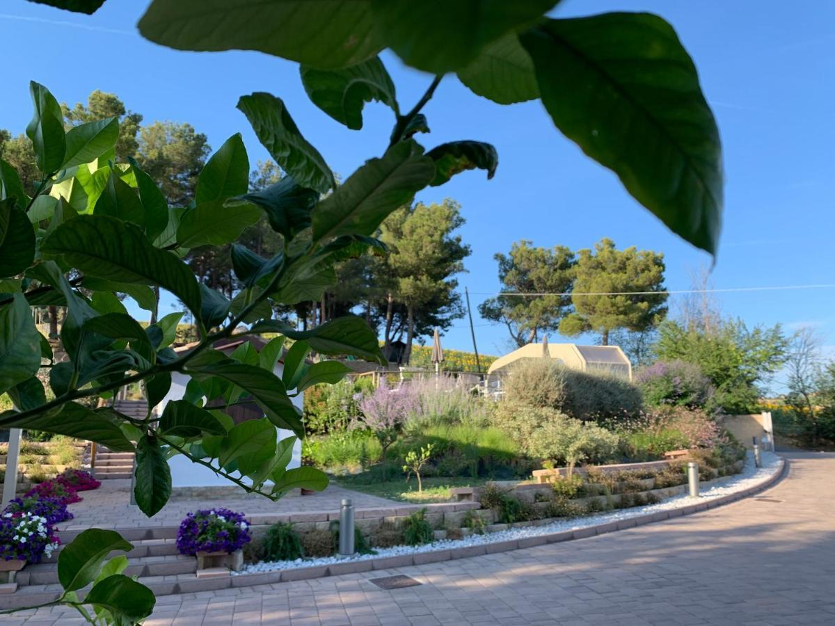 Naturaverde Country House Senigallia Kültér fotó